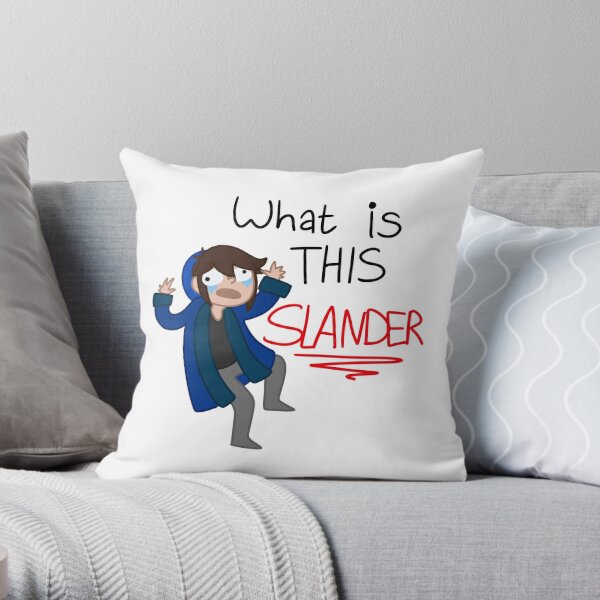 What is this Slander Throw Pillow RB1512 product Offical slander Merch